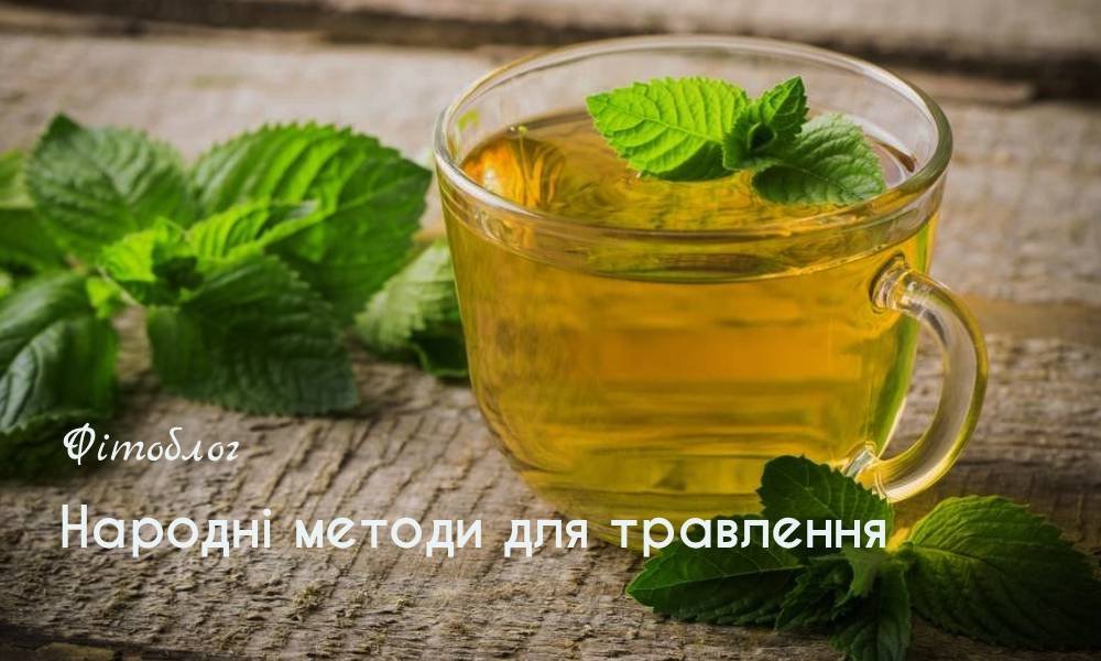 Народні методи для травлення