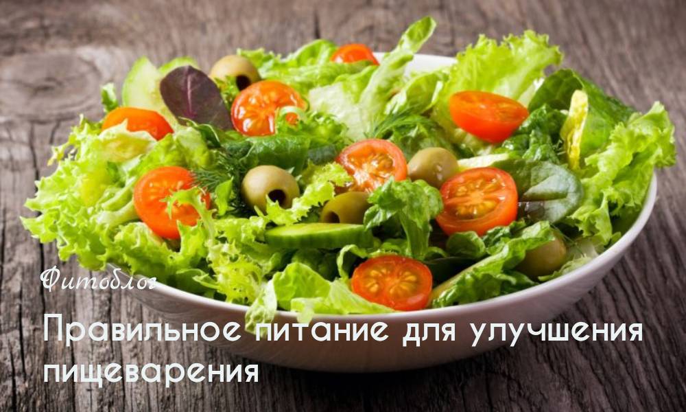 Правильное питание для улучшения пищеварения