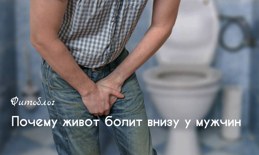 Почему живот болит внизу у мужчин