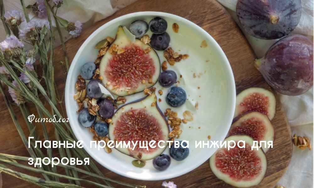 Главные преимущества инжира для здоровья