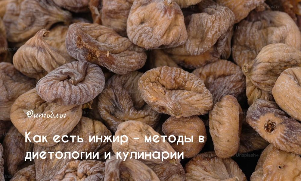 Как есть инжир – методы в диетологии и кулинарии