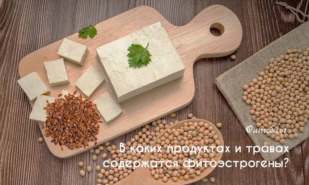 В каких продуктах и травах содержатся фитоэстрогены?