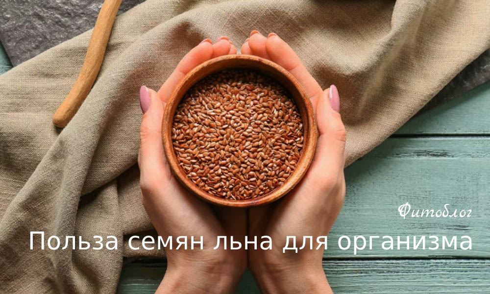 Польза семян льна для организма