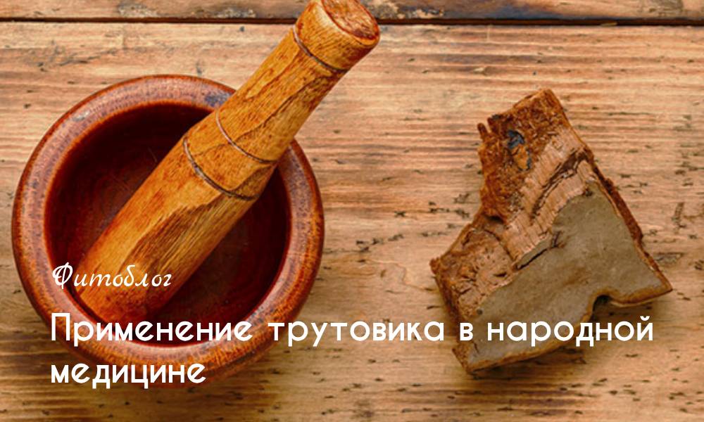 Применение трутовика в народной медицине