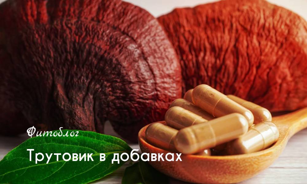 Трутовик в добавках