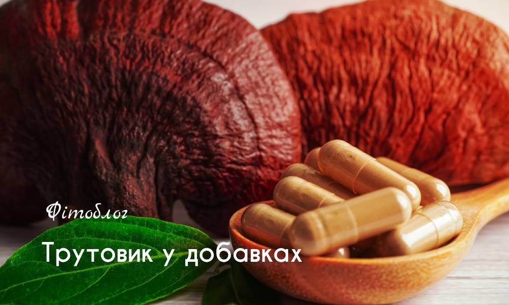 Трутовик у добавках