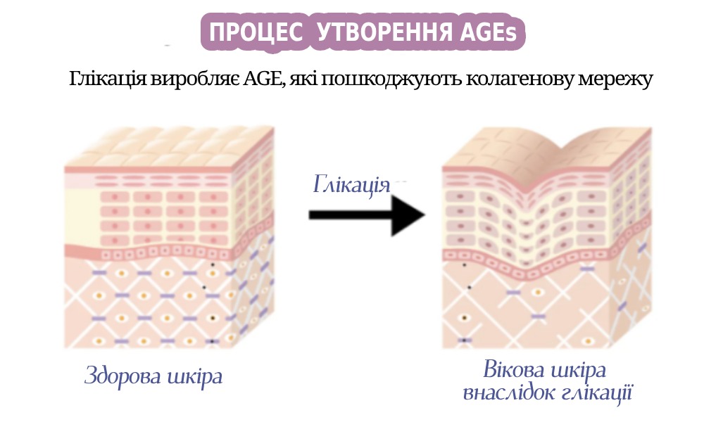 Anti-Glycation Support: протидія AGE для здорового клітинного старіння