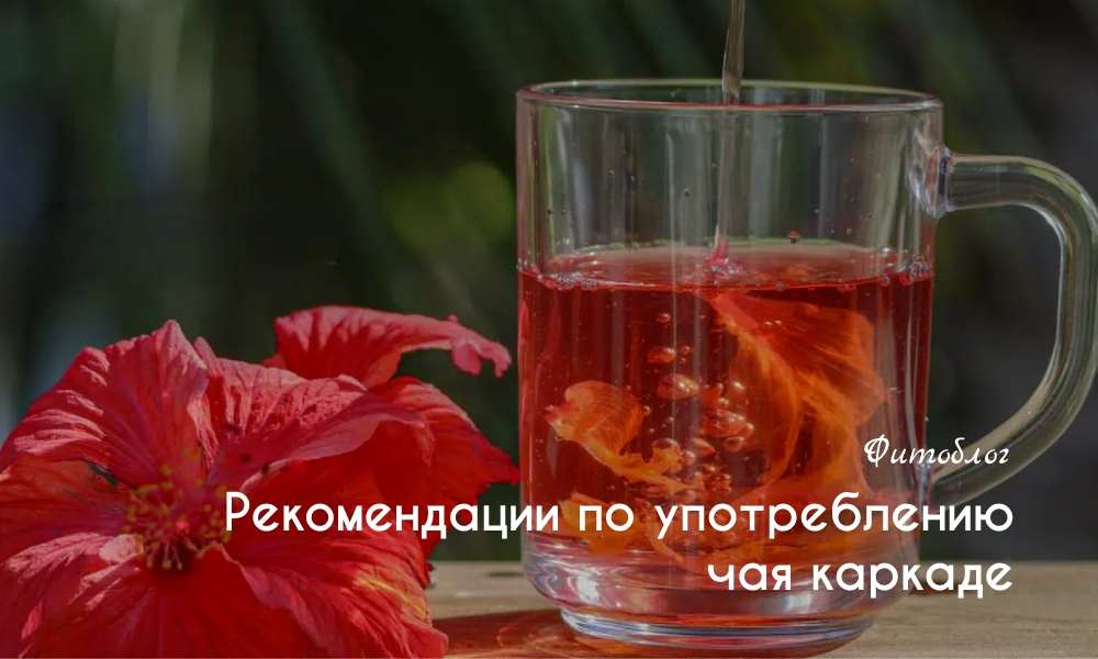 Рекомендации по употреблению чая каркаде