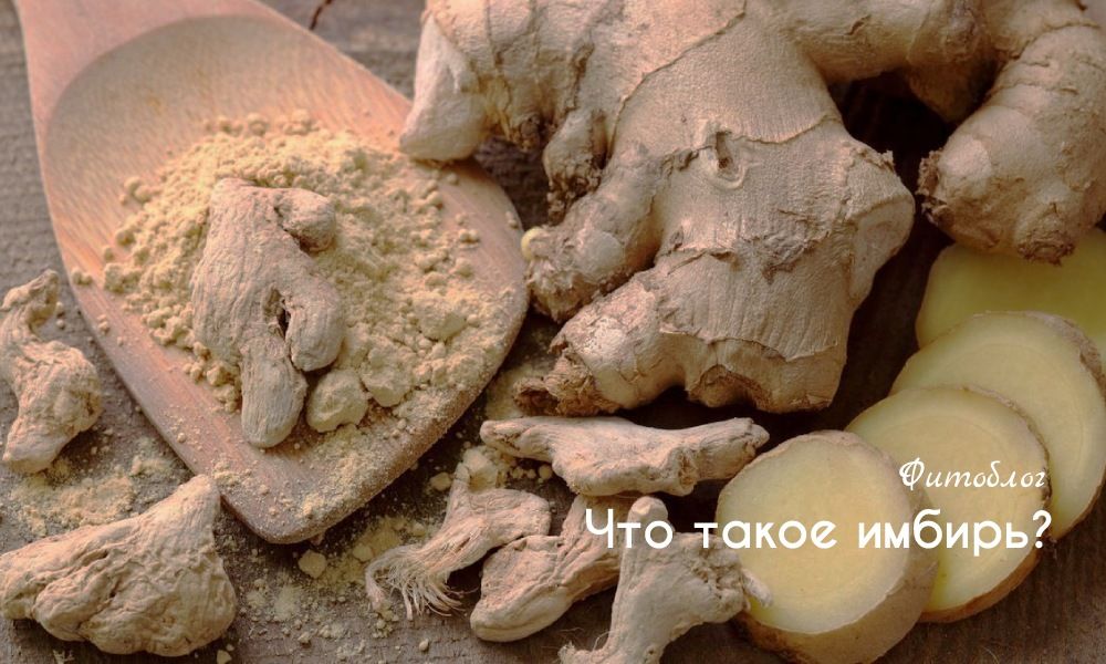 Что такое имбирь?