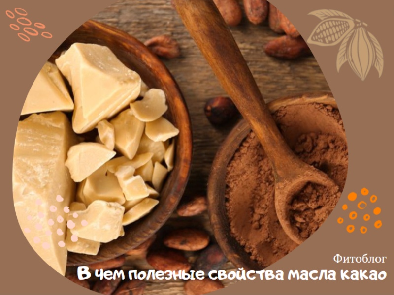 В чем полезные свойства масла какао