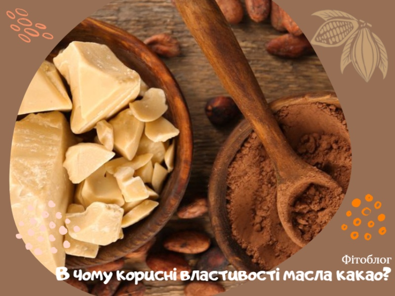 У чому корисні властивості масла какао