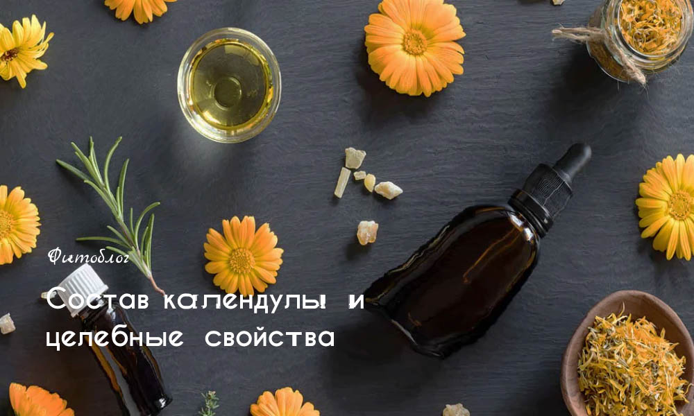 Состав календулы и целебные свойства