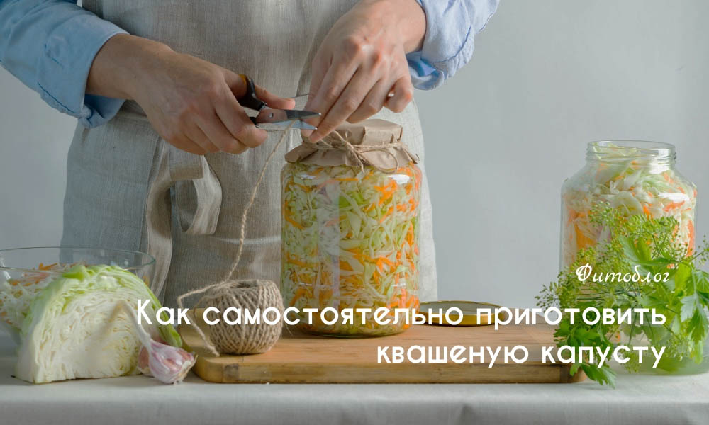 Как самостоятельно приготовить квашеную капусту?