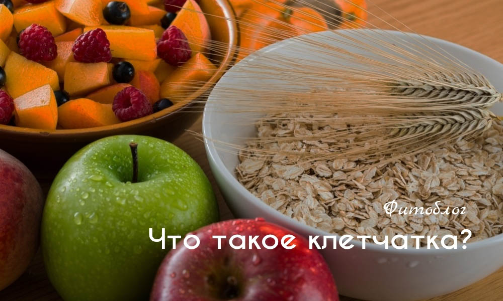 Что такое клетчатка?