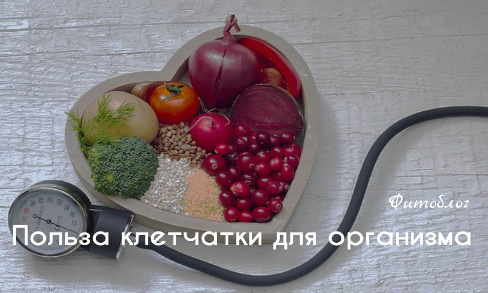 Польза клетчатки для организма