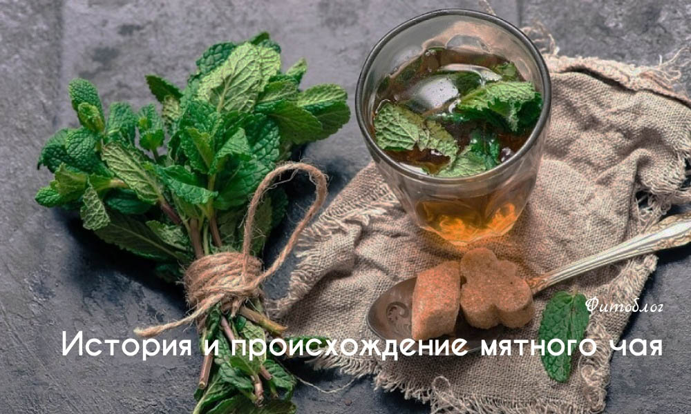 История и происхождение мятного чая