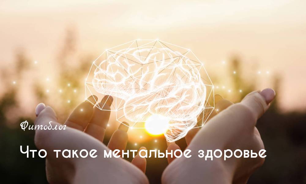 Значение воды для организма