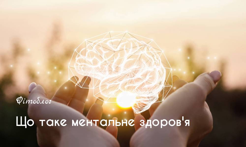 Значення води для організму