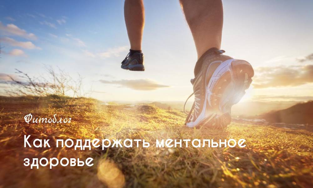 Как поддержать ментальное здоровье