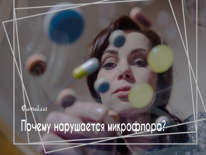 Микрофлора кишечника: почему нарушается и как ее восстановить? - gkhyarovoe.ru