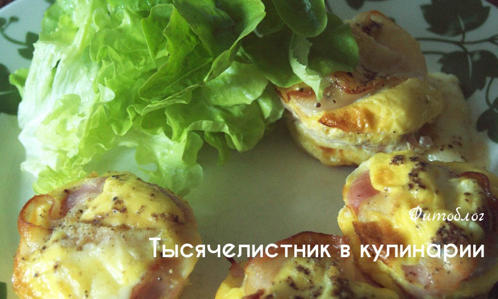 Тысячелистник в кулинарии