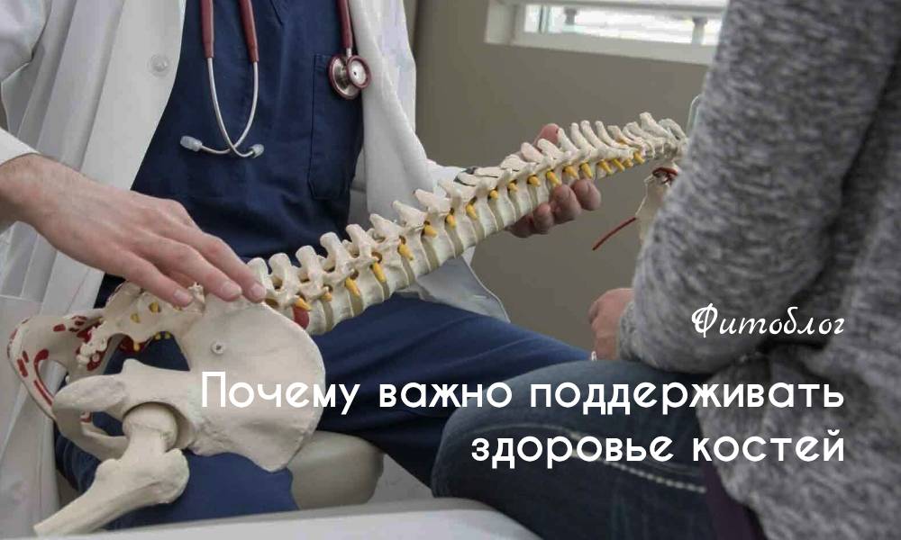 Почему важно поддерживать здоровье костей