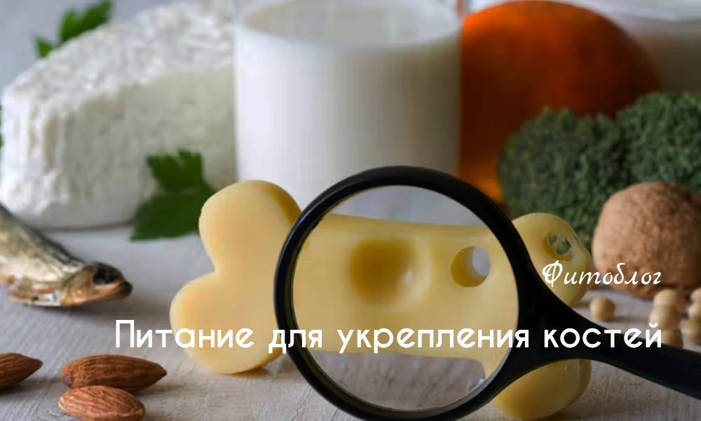 Питание для укрепления костей