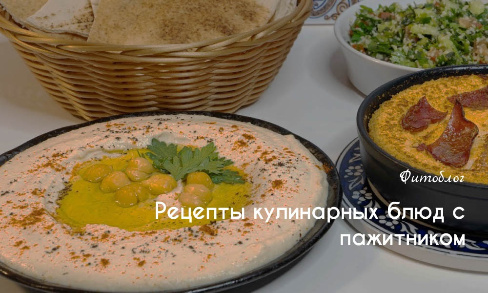 Рецепты кулинарных блюд с пажитником