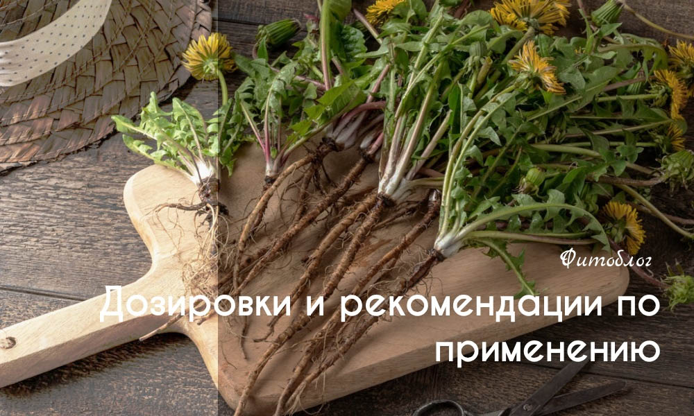 Дозировки и рекомендации по применению