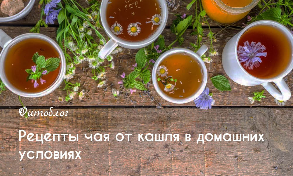 Рецепты чая от кашля в домашних условиях