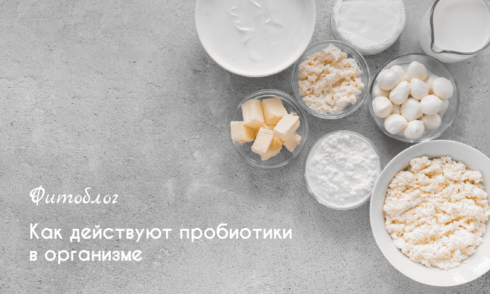 пробиотик действие