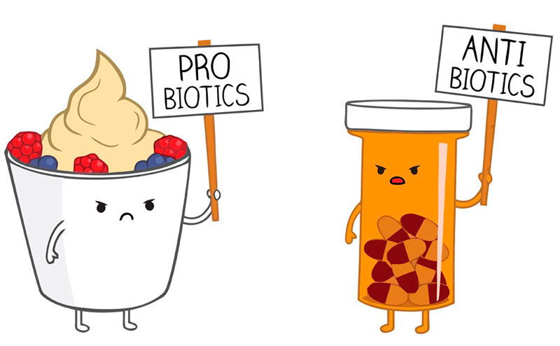 пробиотики во время приема антибиотиков