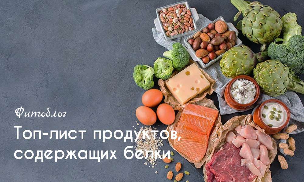 Топ продукты содержащие белки - список