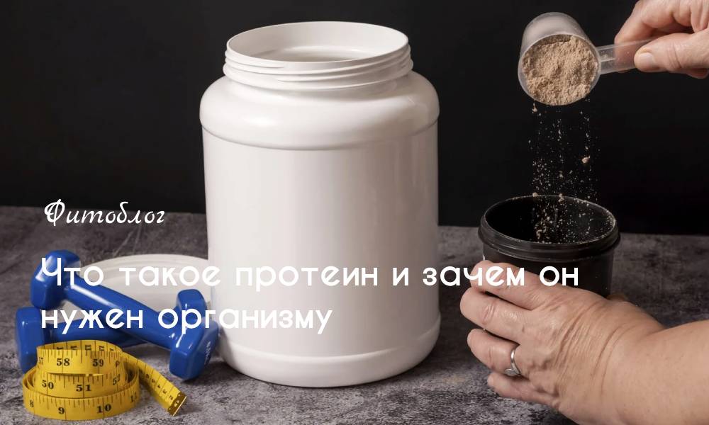 Что такое протеин и зачем он нужен организму