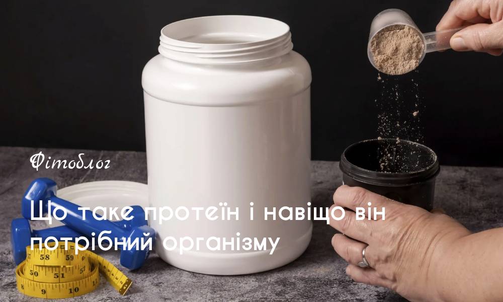 Що таке протеїн і навіщо він потрібен організму