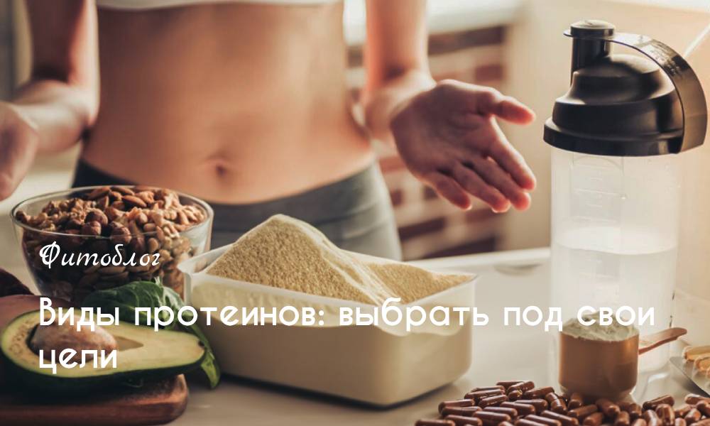 Виды протеинов: выбрать под свои цели
