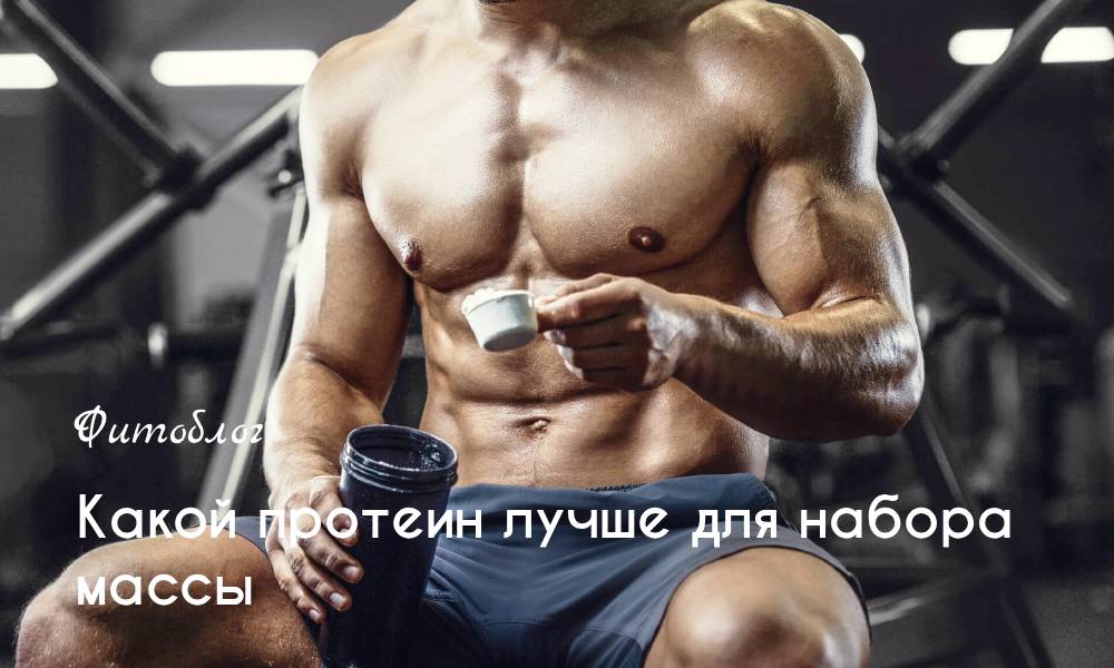 Какой протеин лучше для набора массы