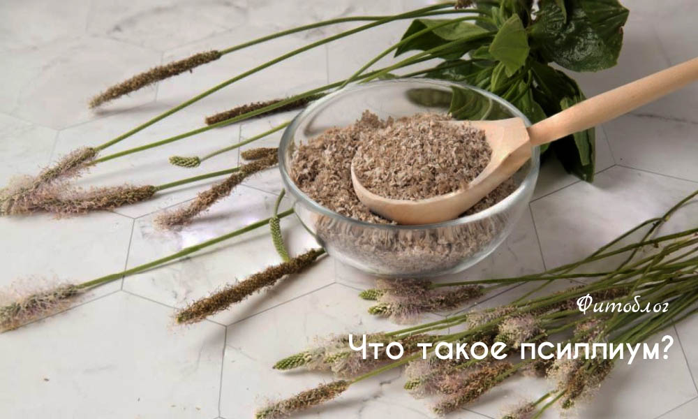 Что такое псиллиум
