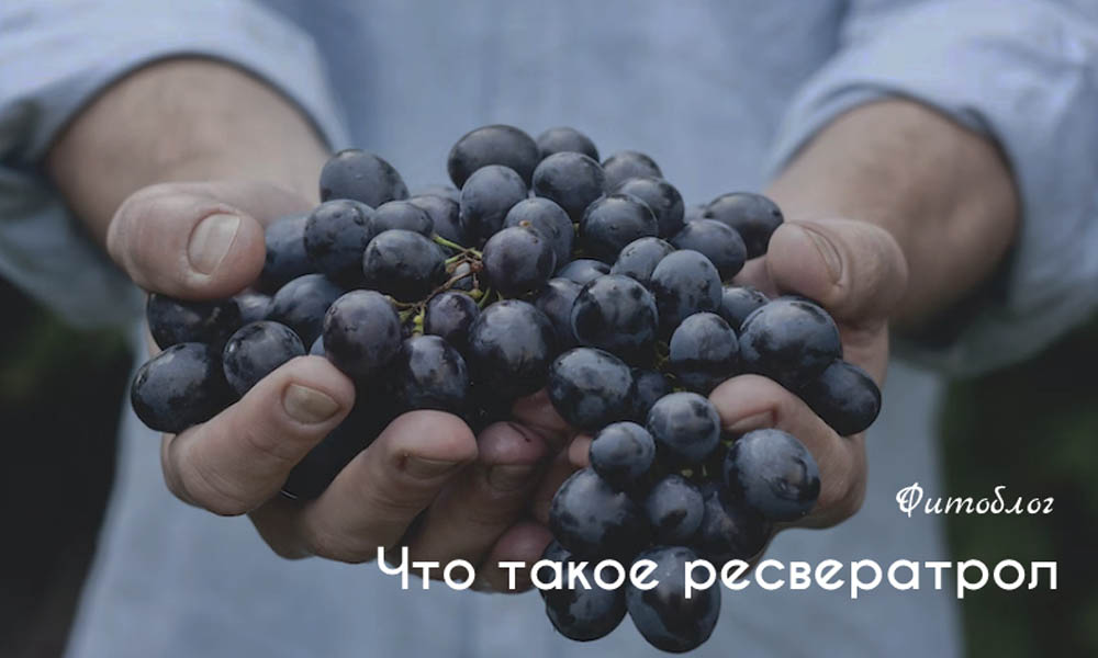 Роль кальция в организме человека