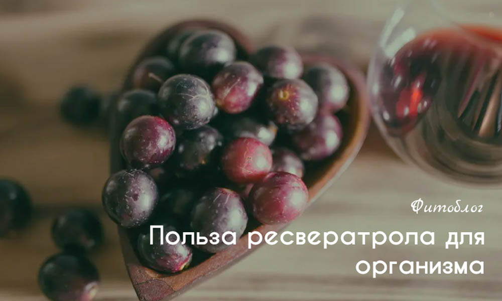 Польза ресвератрола для организма