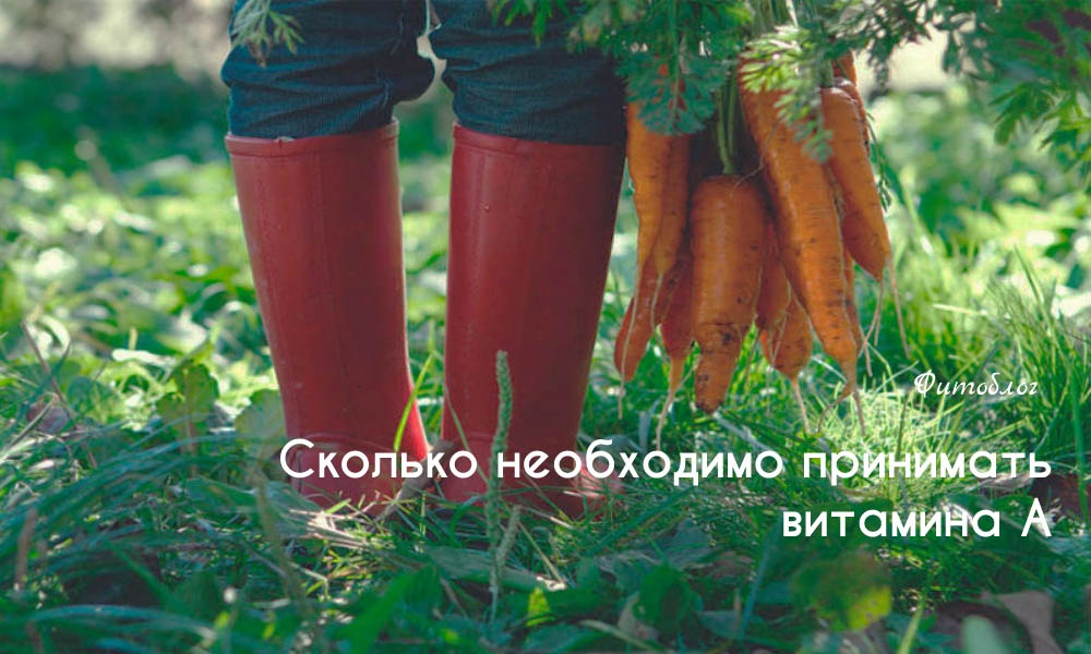 Сколько необходимо принимать витамина А
