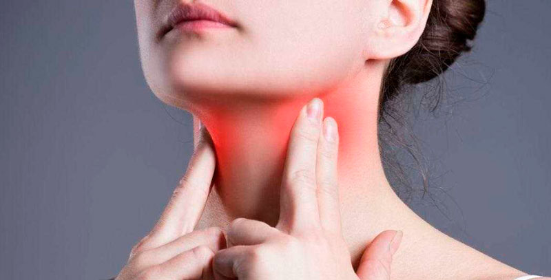 Щитовидная железа: где находится, как работает и за что отвечает - 22 мая, Статьи «Кубань 24»