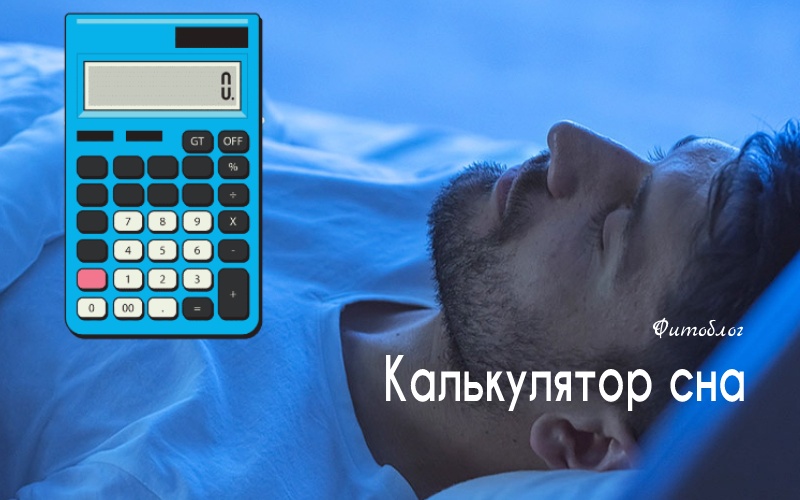 функции сна