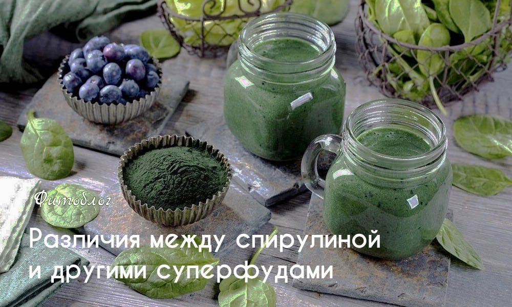 Различия между спирулиной и другими суперфудами