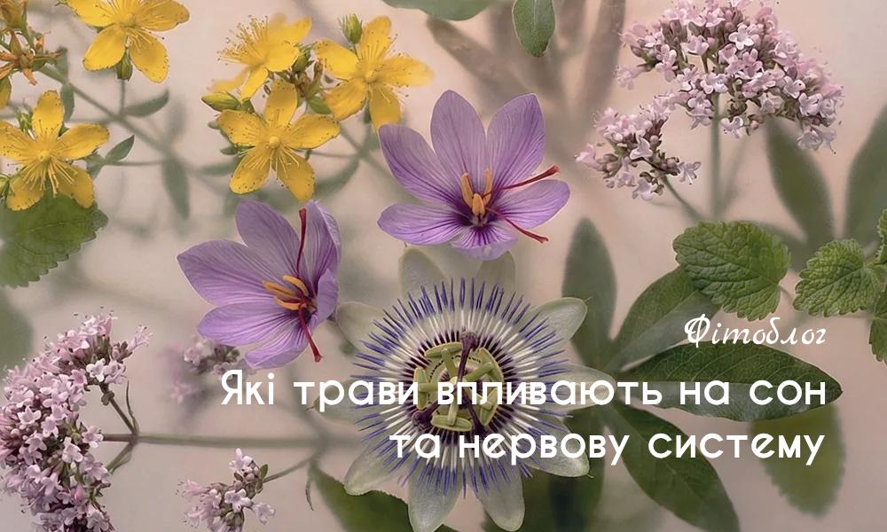 Які трави впливають на сон та нервову систему 