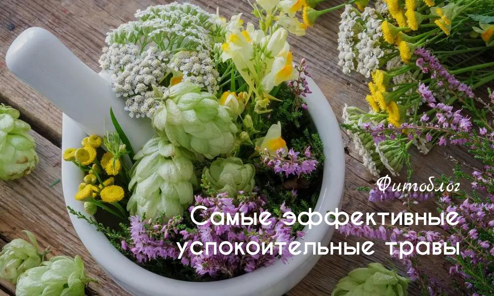 Самые эффективные успокоительные травы
