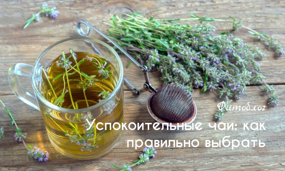 Успокоительные чаи: как правильно выбрать