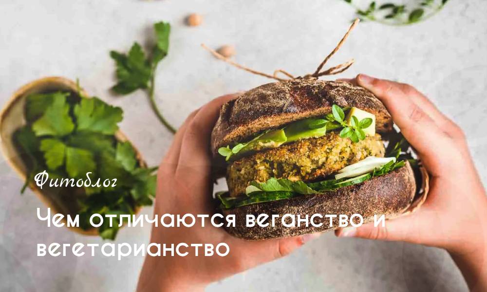 Чем отличаются веганство и вегетарианство