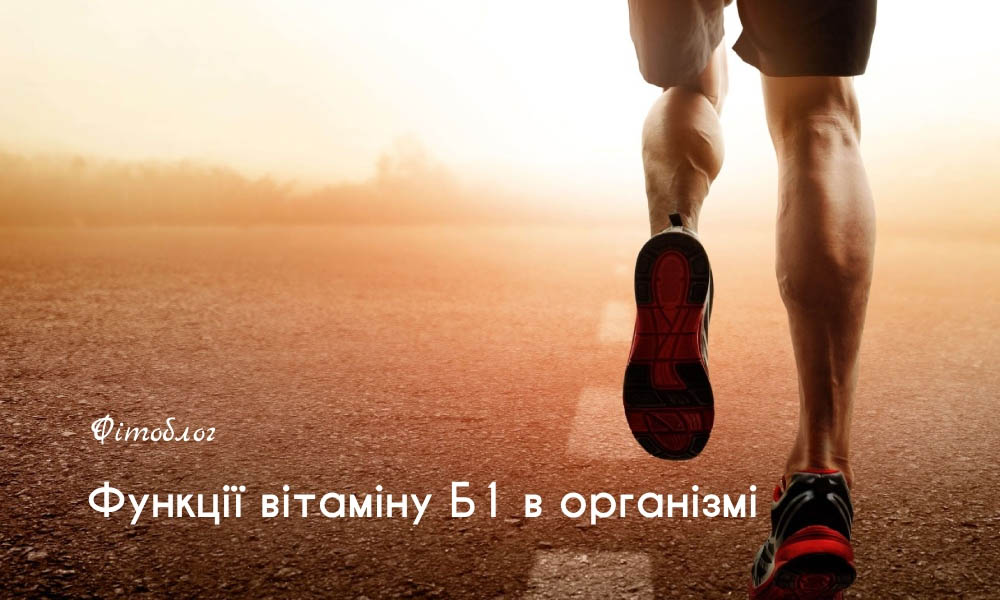 Функції вітаміну Б1 в організмі