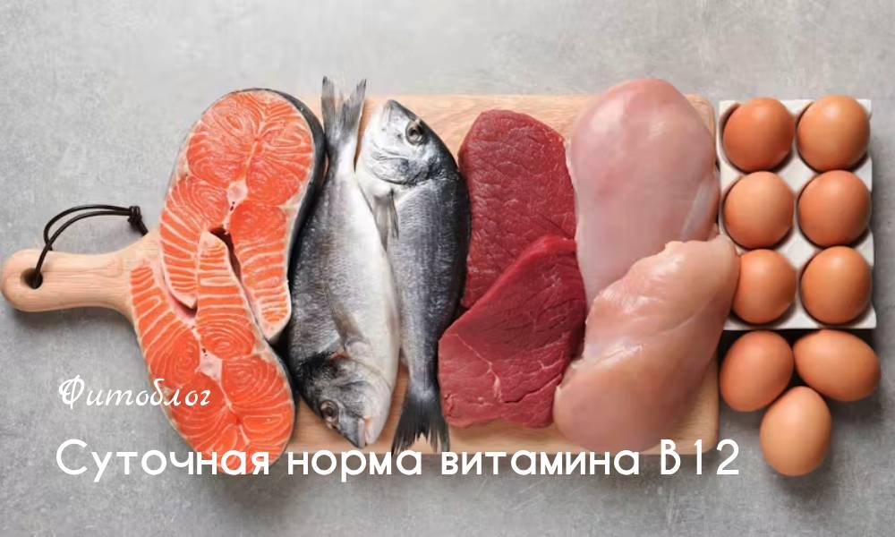 Суточная норма витамина B12
